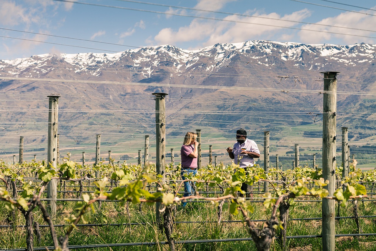 Luxury Wine & Wilderness of NZ